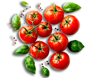 imgredientes pizzadiluka